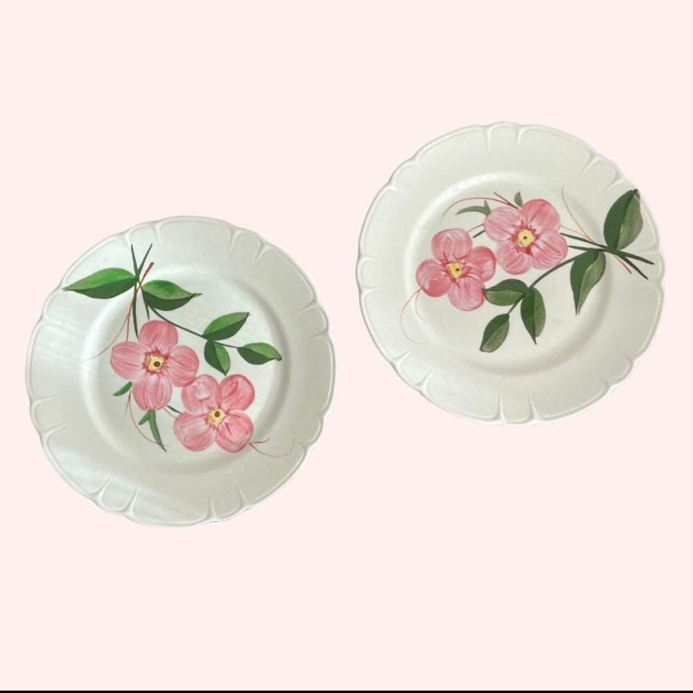 Stetson Pink and Green Floral Dinner Plates